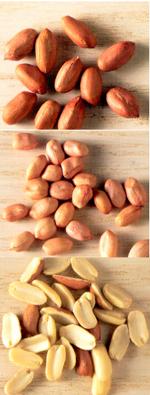 Groundnut