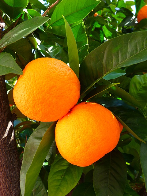 Naranja