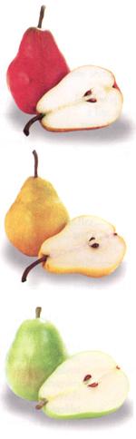 Pear