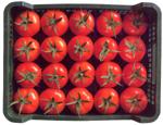 Tomate
