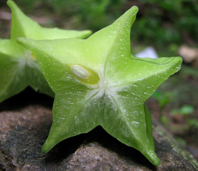 Carambola