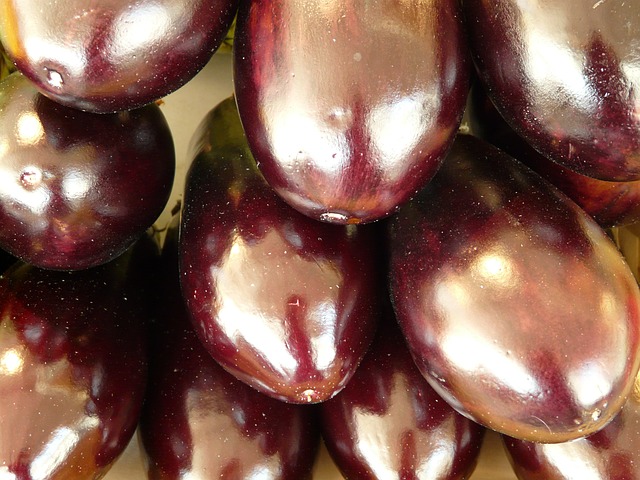 Aubergine