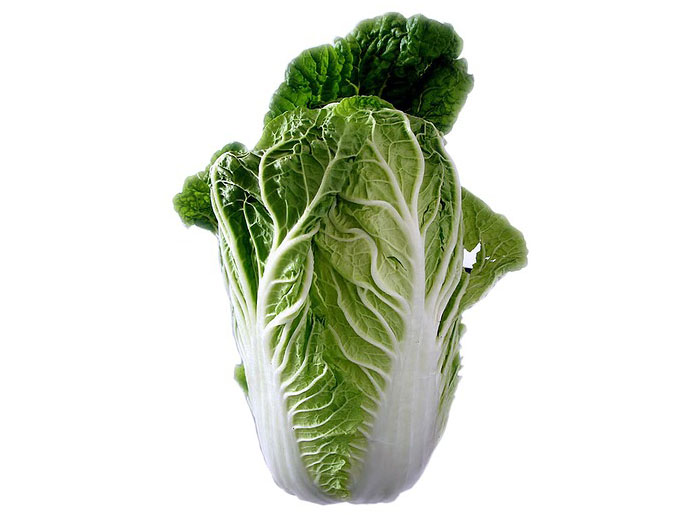 Chinese cabbage