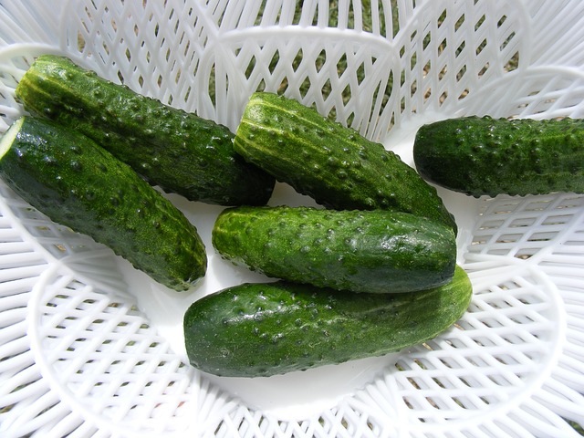 Cucumber